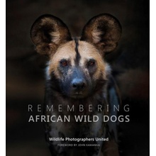 Remembering African Wild Dogs