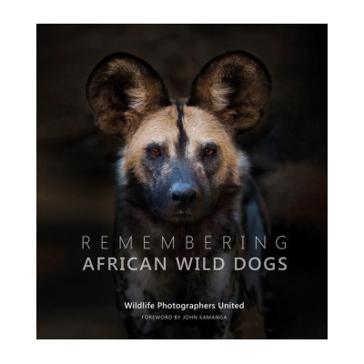 Remembering African Wild Dogs