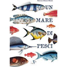 mare di pesci Marcus Elieser Bloch
