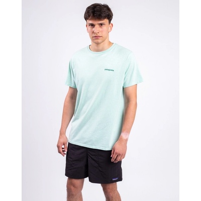 Patagonia Fitz Roy Icon Responsibili-Tee Rinsed Green