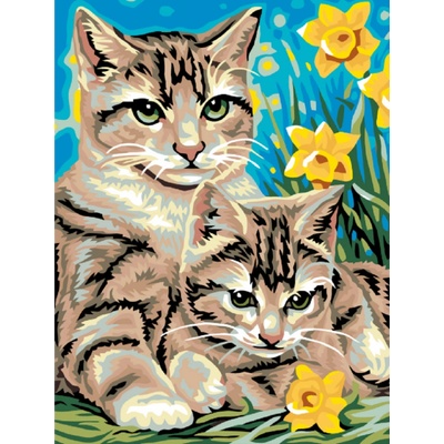 MALUJEŠ Malování podle čísel KOČKY MEZI NARCISY Rozměr 80 x 100 cm Rámování vypnuté plátno na rám