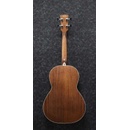 Ibanez PNB14E