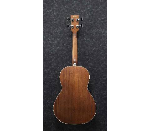 Ibanez PNB14E