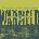 The Grateful Dead - The Warfield, San Francisco, CA Oct 4 & 6, 1980 (2 LP) (0081227808075)