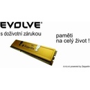Evolve DDR 1GB 400MHz CL3