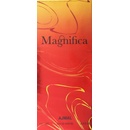 Ajmal Magnifica parfémovaná voda pánská 100 ml