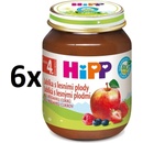HIPP Jablká s lesnými plodmi 6 x 125 g