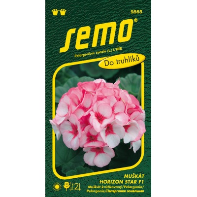 Semo Pelargonie páskatá - Horizon Star F1 11s