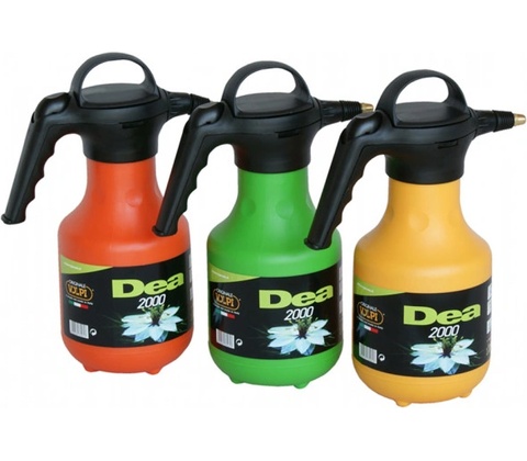 DEA 2l