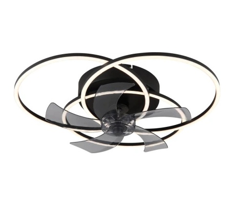 Globo 03645