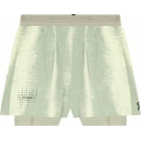 On Performance Shorts Terra
