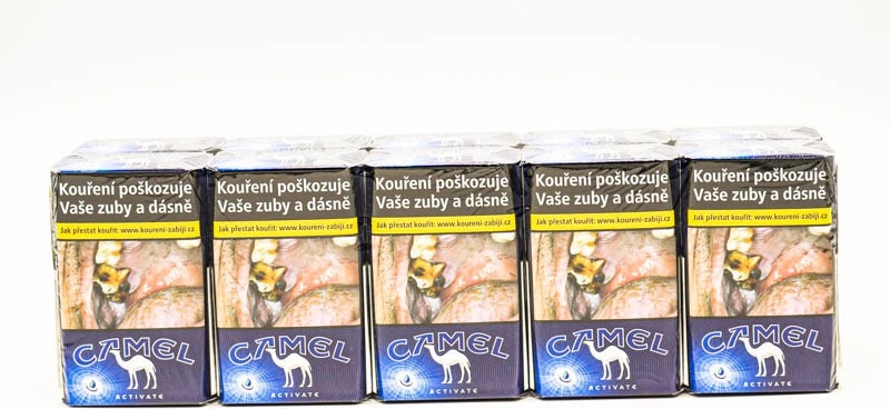 Camel Activate
