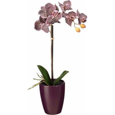 MICA Umělá slída Phalaenopsis v květináči 47 cm x O 18 cm, tmavě fialová