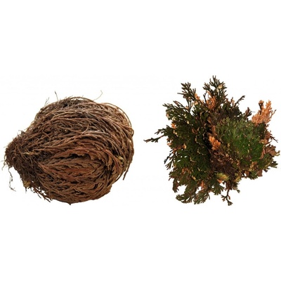 Lucky Reptile Rose of Jericho 50 g FP-64210