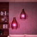 Image 1 of Philips A60 E27 9W 806lm (8719514291515)