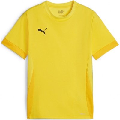 Puma teamGOAL Matchday Jersey dres 705748 07