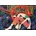 Magnolia - Puzzle Myth - 1 500 piese