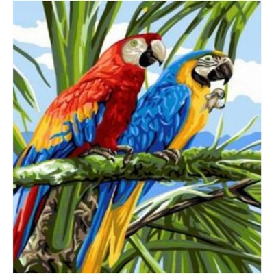 Norimpex Diamantové malování Papoušci ve větvích 30 x 40 cm
