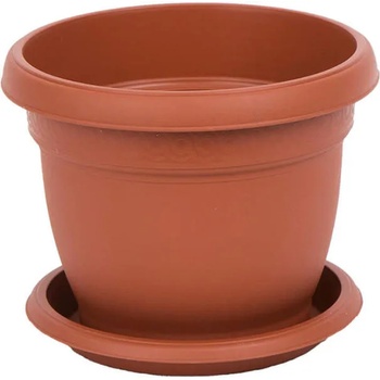 Image 1 of Roto Daliia F24