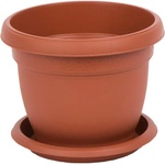 Roto Daliia F24