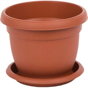 Roto Daliia F24