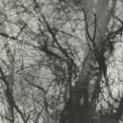 Grouper - Way Their Crept (Reissue) LP