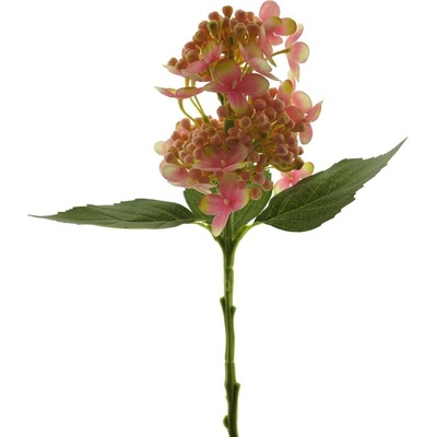 Hortenzie - Hydrangea pučící růžová V38 cm (N936827)