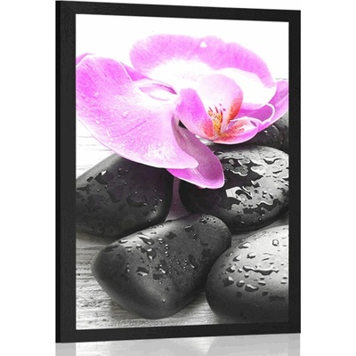Plakát krásná souhra kamenů a orchideje - 20x30 white