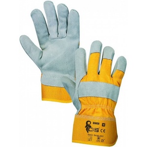 CXS DINGO 321000100012