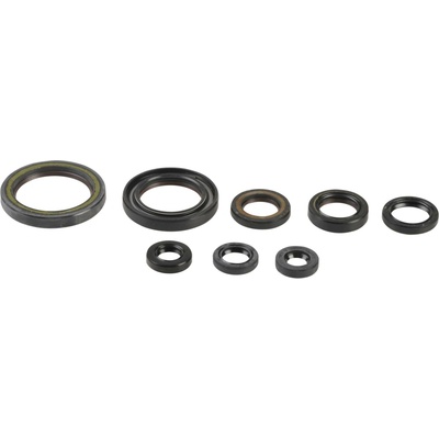 Sada gufer motoru ATHENA P400210400202
