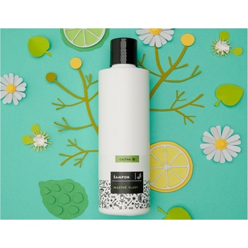 Caltha Tekutý šampon na mastné vlasy Lípa a Heřmánek 250 ml
