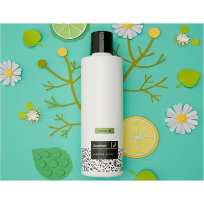 Caltha Tekutý šampon na mastné vlasy Lípa a Heřmánek 250 ml