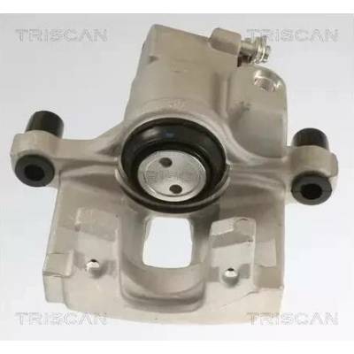 TRISCAN AGR ventil TRI 8813 25201