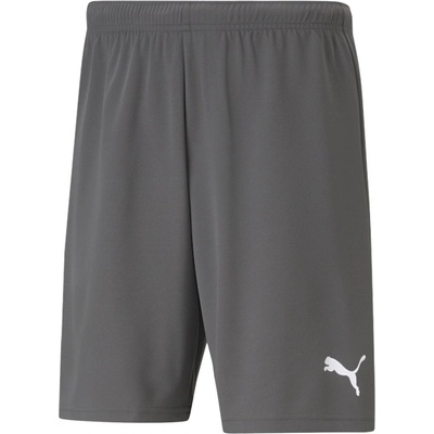 Puma teamRISE šedá