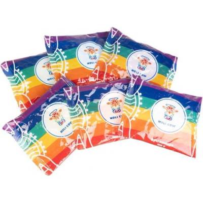 ISO 10564 Holi barevný prášek 10x100 g color