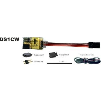 DSYS Electronics Systems RC spínač DS1CW 3A vodeodolný