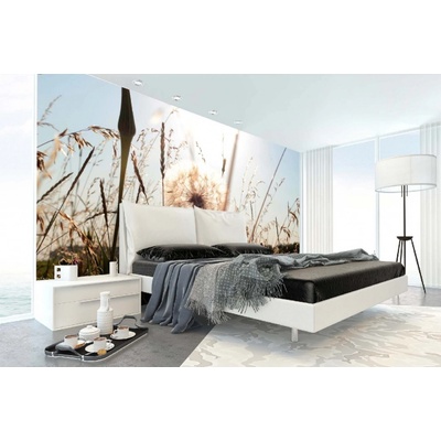 Dimex MA-5-1339 Samolepicí vliesová fototapeta na zeď Letní pampeliška rozměry 375 x 250 cm