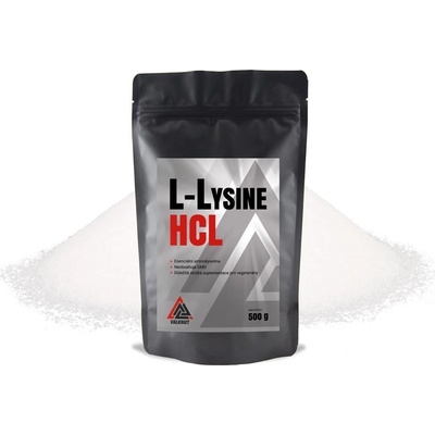 VALKNUT L-Lysine HCL 500 g