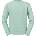 Russell Athletic 262M / Мъжки суитшърт - евкалипт M (10262Marv02)