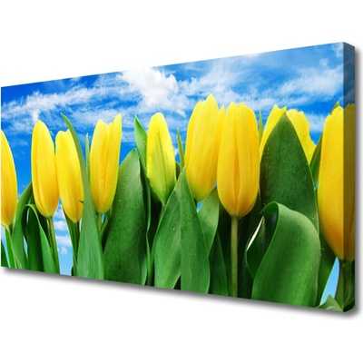 Obraz na plátně Tulipány Květiny 100x50 cm