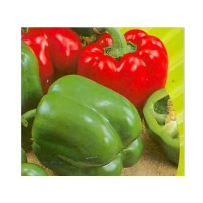 Paprika Yolo Wonder - Capsicum annuum - Semiačka - 8 ks
