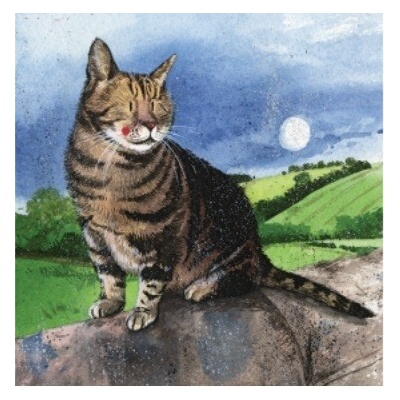 Přání s obálkou - Moon cat - Alex Clark