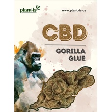 Plant-is Gorilla Glue květy CBD 21% THC 0,5% 5g