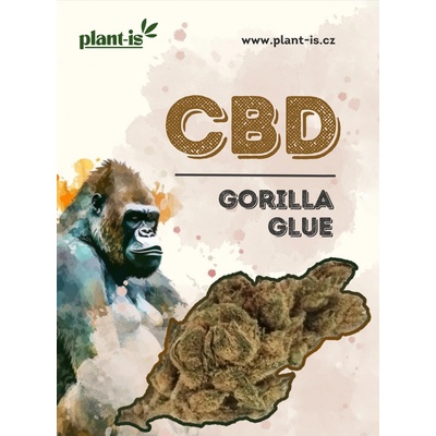 Plant-is Gorilla Glue květy CBD 21% THC 0,5% 1g – Zboží Dáma