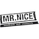 Mr. Nice Neville´s Haze semena neobsahují THC 15 ks