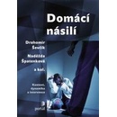 Domácí násilí