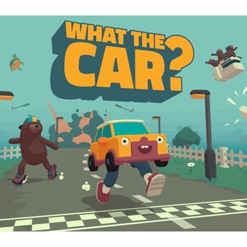 What The Car?