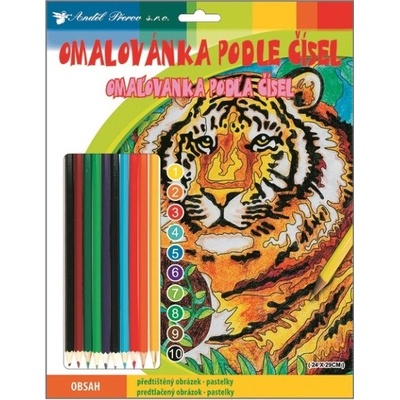 Anděl Omalovánka podle čísel s pastelkami Lev