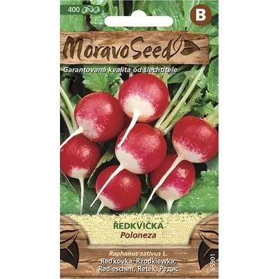 Reďkovka POLONEZA červeno-biela MoravoSeed