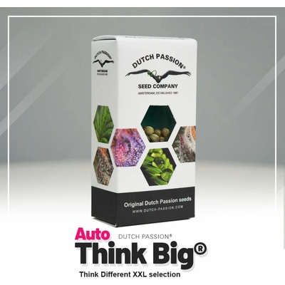 Dutch Passion Think Big AUTO semena neobsahují THC 3 ks